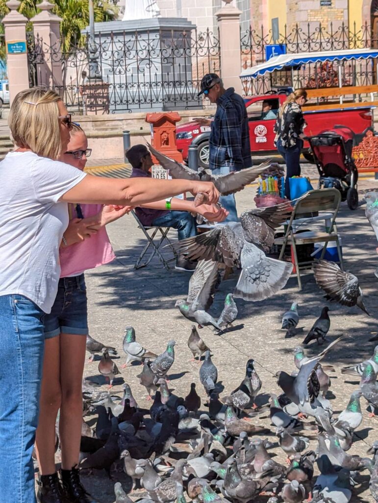 Hand feeding birds throughout Mexico Travels